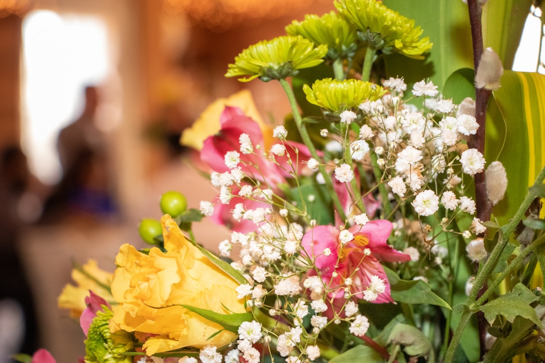 about-us-02 pink-and-white-flowers-in-tilt-shift-lens-wv-osxg7hls